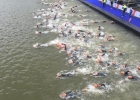 13507152_1154601274562107_5553102805994243250_n